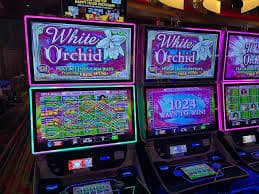 qqmersi mobile phone showing live-dealer tables and player count